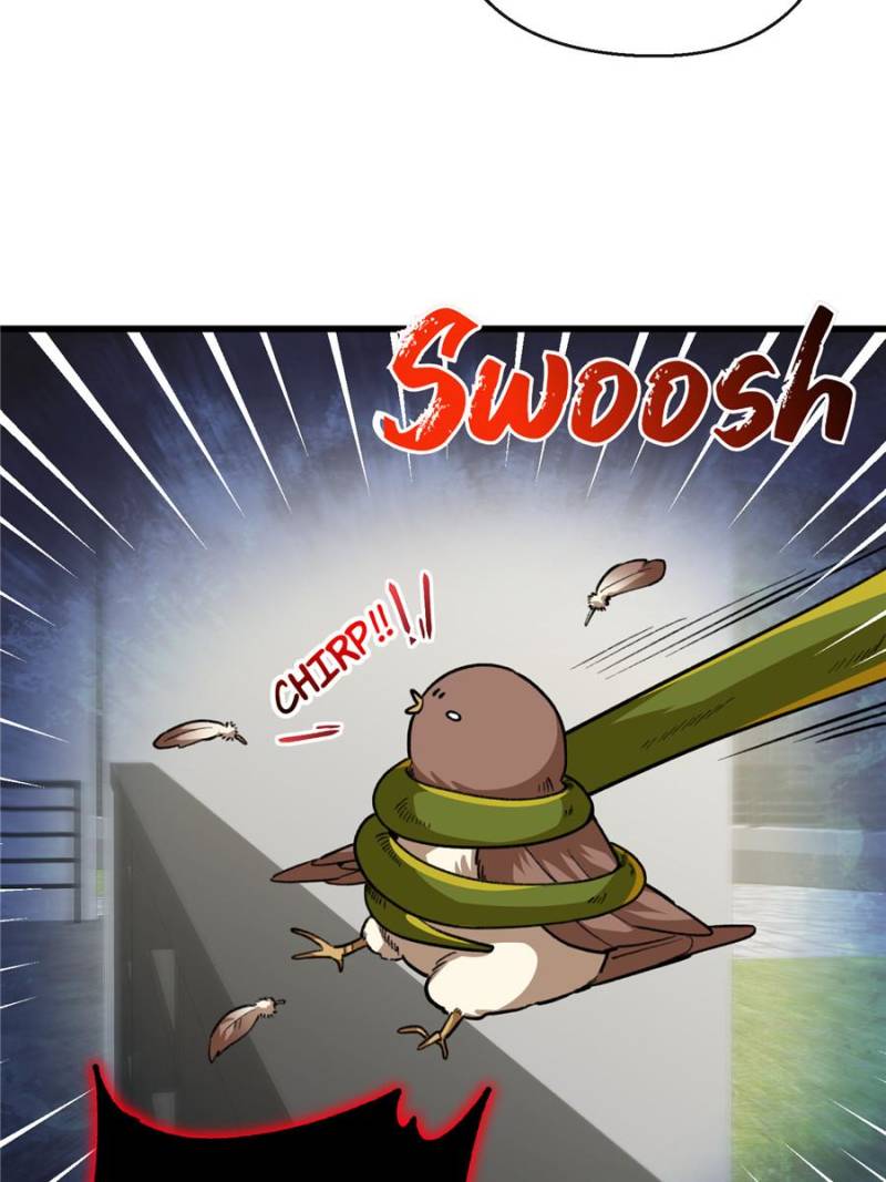 80676568 800 1067 75707