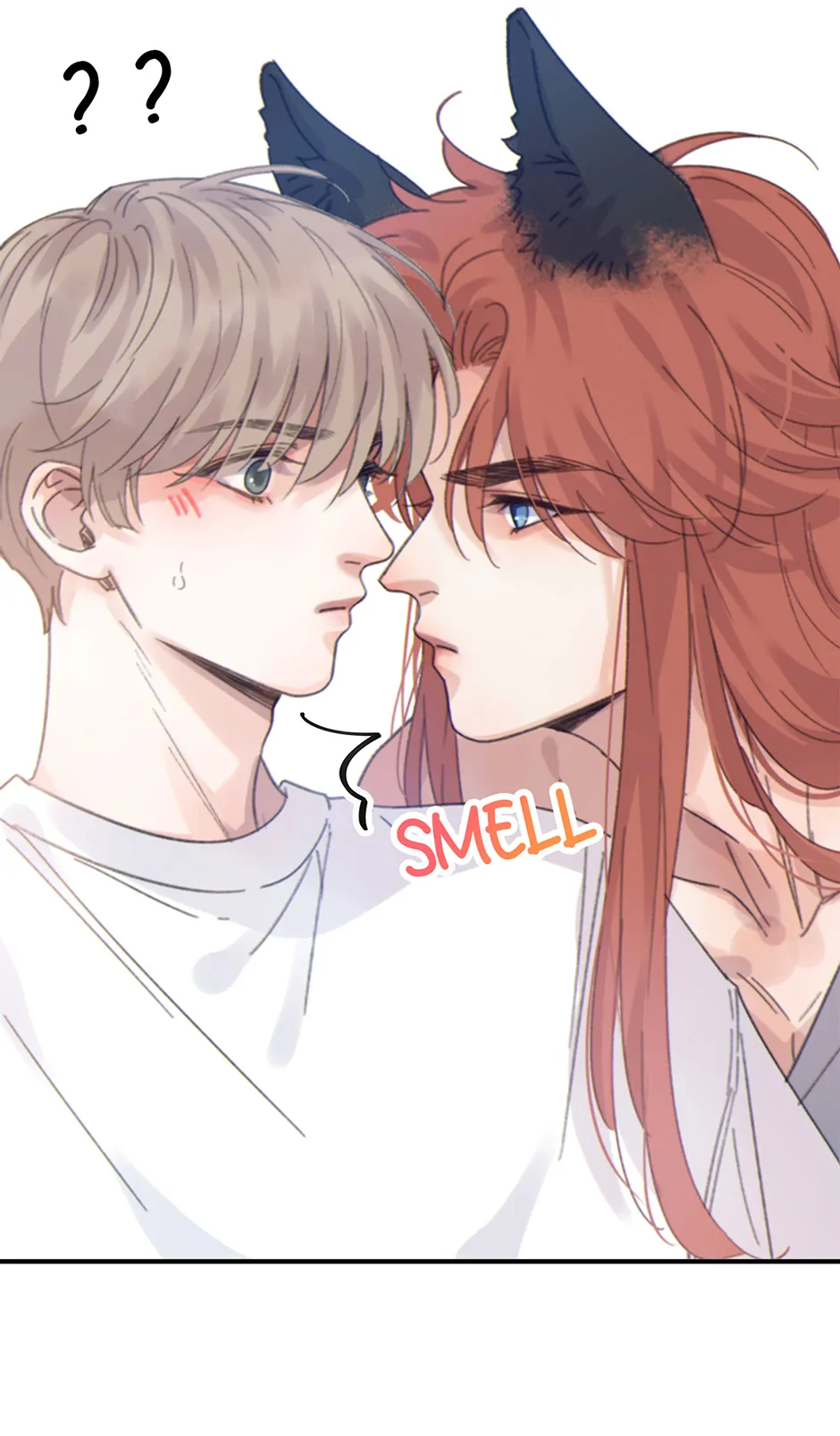 73885436 940 1606 65204